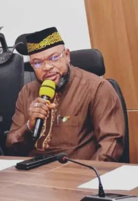 Diaspora group tasks FG on protection of Nigerians in South Africa