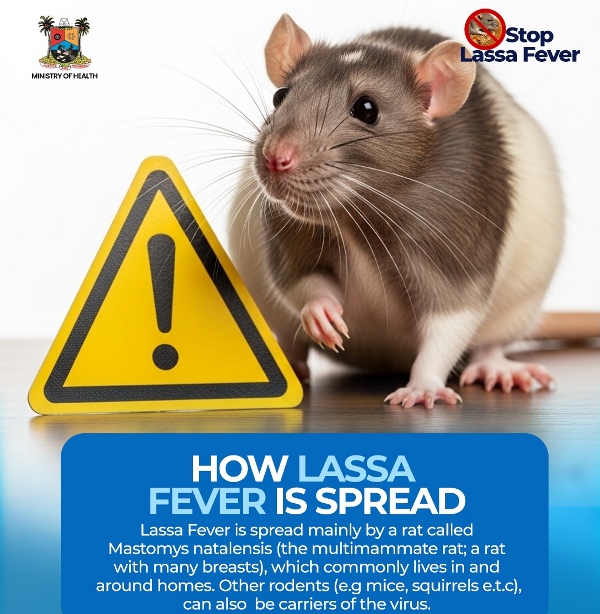 Lassa Fever