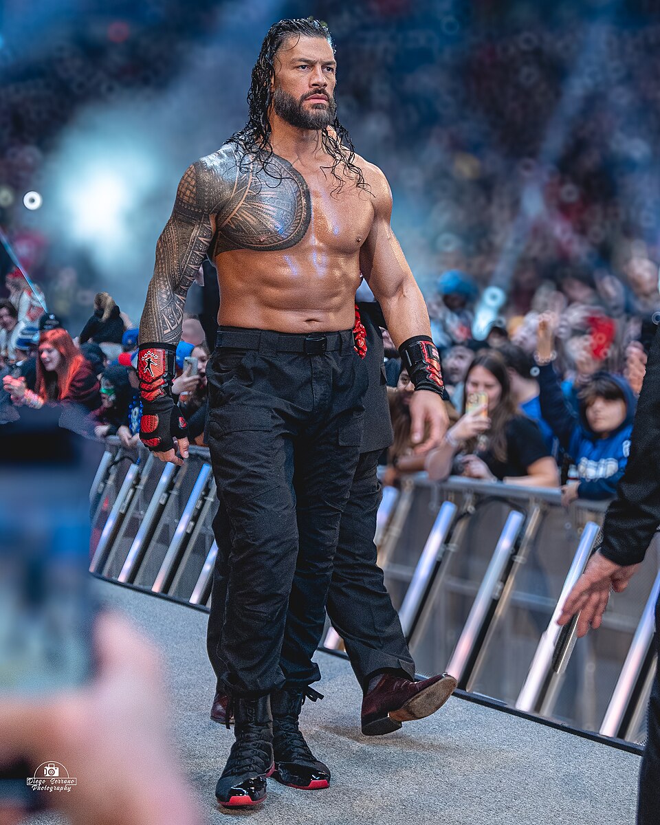 Roman Reigns net worth