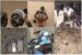 Troops nab terrorists, drug peddlers, rescue kidnapped victims in Northeast operations