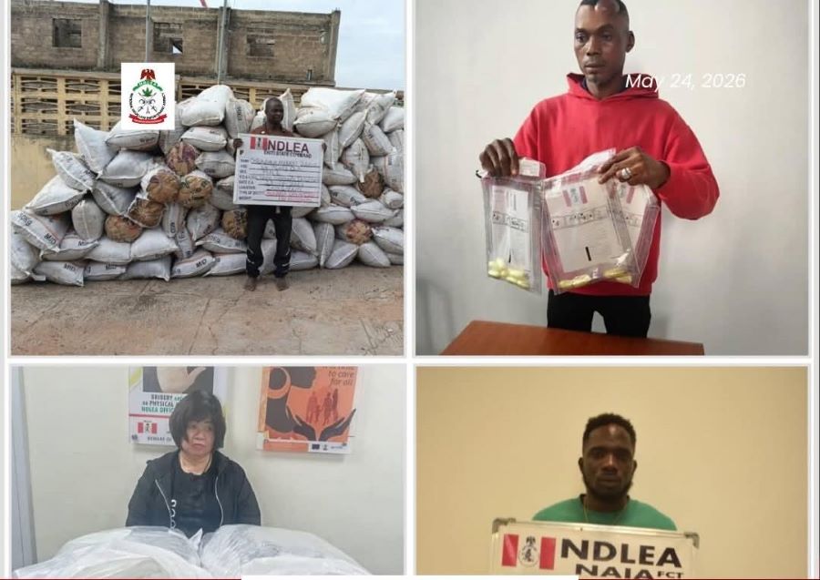ndlea