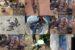 Some of the victims rescued as well as weapons and other items recovered by troops in Katsina and Zamfara operations