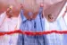 Shettima calls for unity as Gubio emerges Borno APC flagbearer