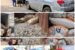 Chinese, Nigerian illegal mining kingpins lose mining site, trucks, lithium stones to FG