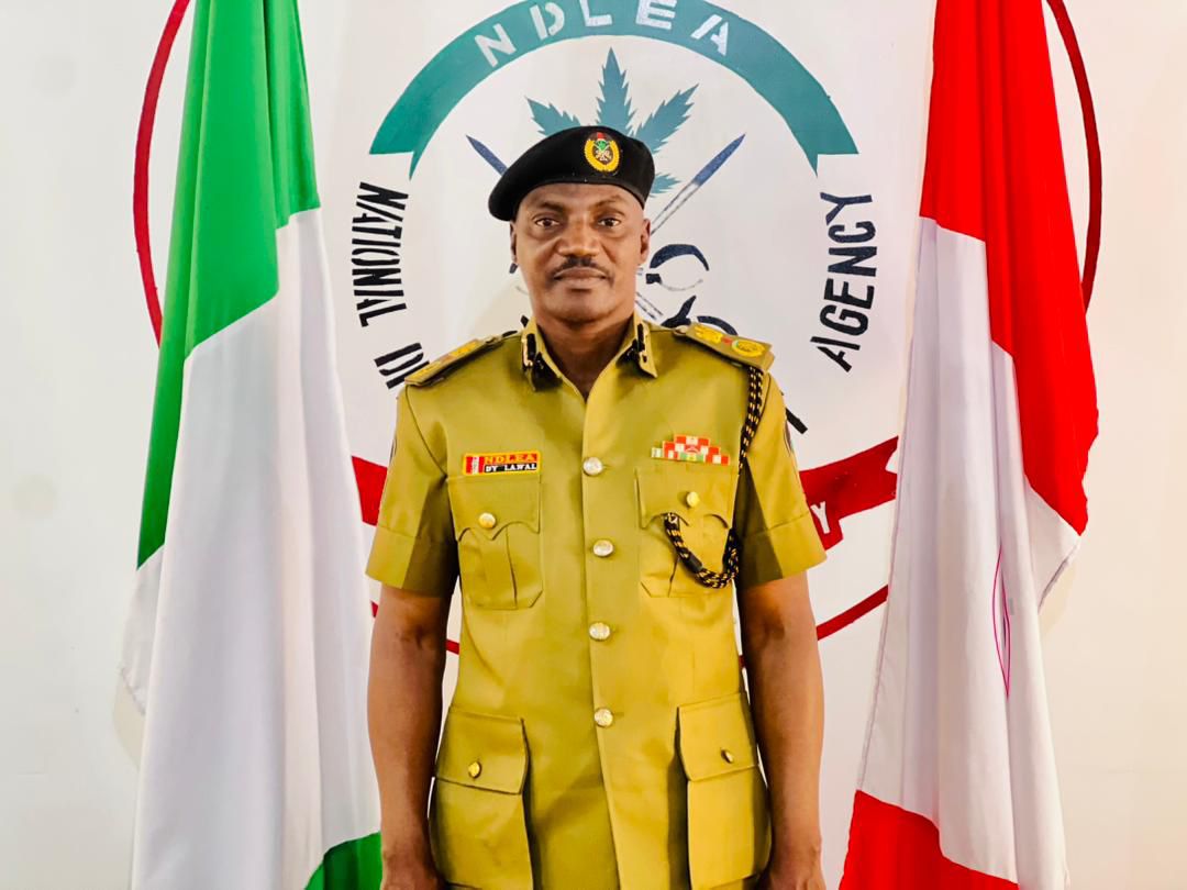 NDLEA grabs 38 suspects for drug peddling, abuse in Kano