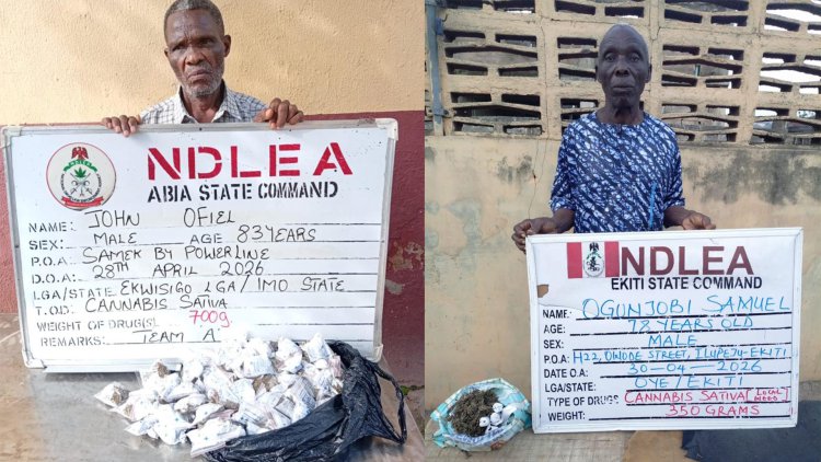 NDLEA