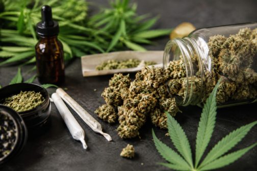 Weed