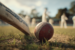 Understanding Live Cricket Odds: A beginner’s guide to winning on Pin Up