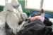 Ebola