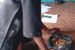 Police operatives nab one Abubakar Abdullahi with 174 rounds of 7.62mm live ammunition for AK-47 rifles in Toto-Abaji area of Nasarawa state