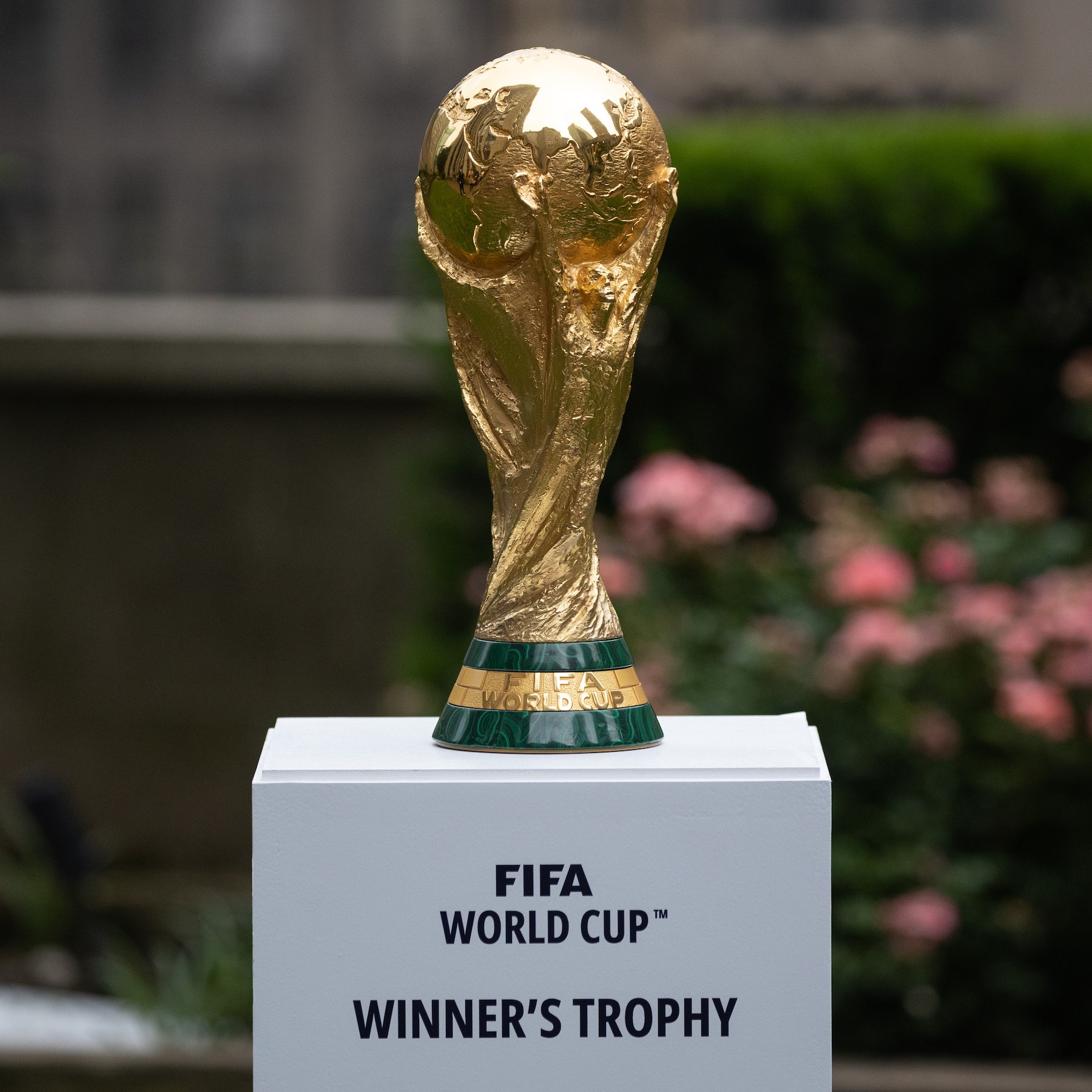 World Cup