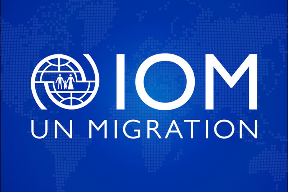 IOM rescues 67,000 stranded Nigerian migrants, supports 30,000