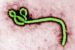 Ebola