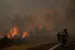 Wildfires