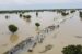 Floods