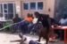 Police nab two vigilante operatives, one other over viral video showing a man being tortured in Emevor, Isoko North LG A of Delta State