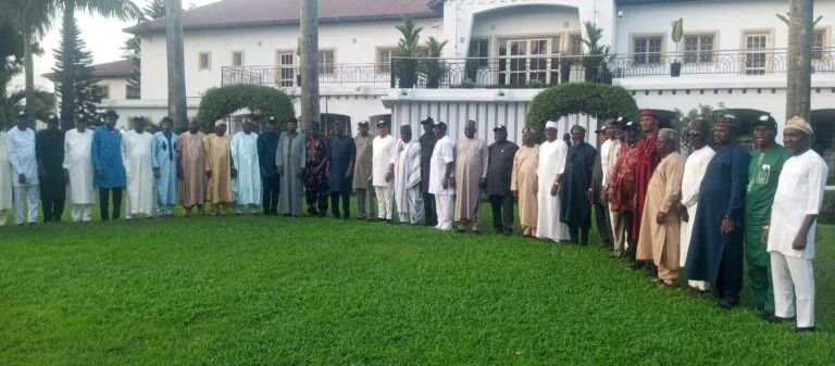 APC chairmen announce plans for nationwide tour to projects governors and President Bola Tinubu ahead of the 2027 elections