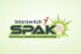 InterswitchSPAK National Science Competition