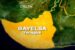 Bayelsa