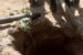 Heartbreak in Kano as father, teenage daughter perish in open well