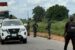 Police impound 31 vehicles for traffic and vehicle registration offences during patrol in Agbor town and adjoining areas of Delta State.