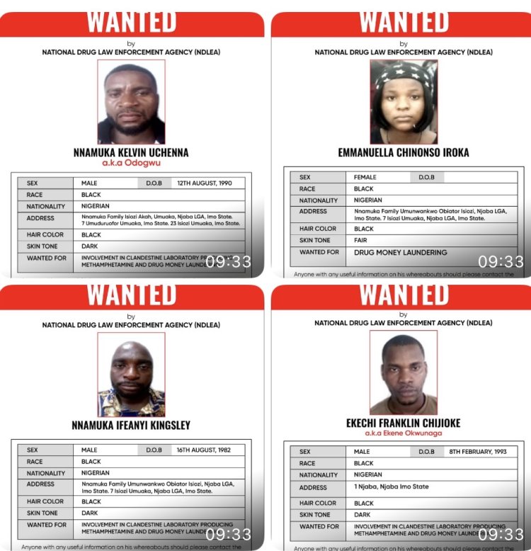 NDLEA declares drug baron, Nnamuka Kelvin Uchenna (a.k.a Odogwu), three associates wanted over Imo