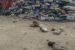 Obalende refuse