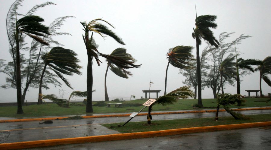 windstorm